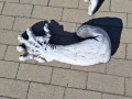 20250924_144933.jpg
