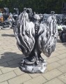 20250429_120607.jpg