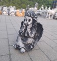 20250814_201123.jpg