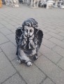 20250814_201134.jpg