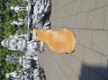 20250714_173309.jpg