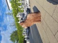 20250714_182839.jpg