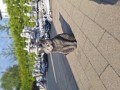 20250714_182939.jpg